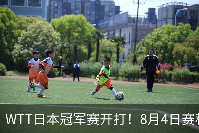 WTT日本冠军赛开打！8月4日赛程公布：国乒周启豪挑战松岛辉空